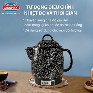 ẤM SẮC THUỐC 3.3L LADOMAX HA 8833D